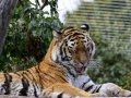 ZOO-Viden 24 srpen 2014 087.JPG